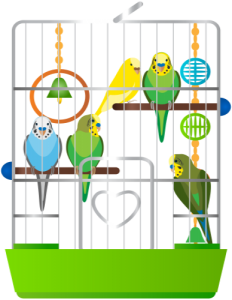 a cage of pretty birds